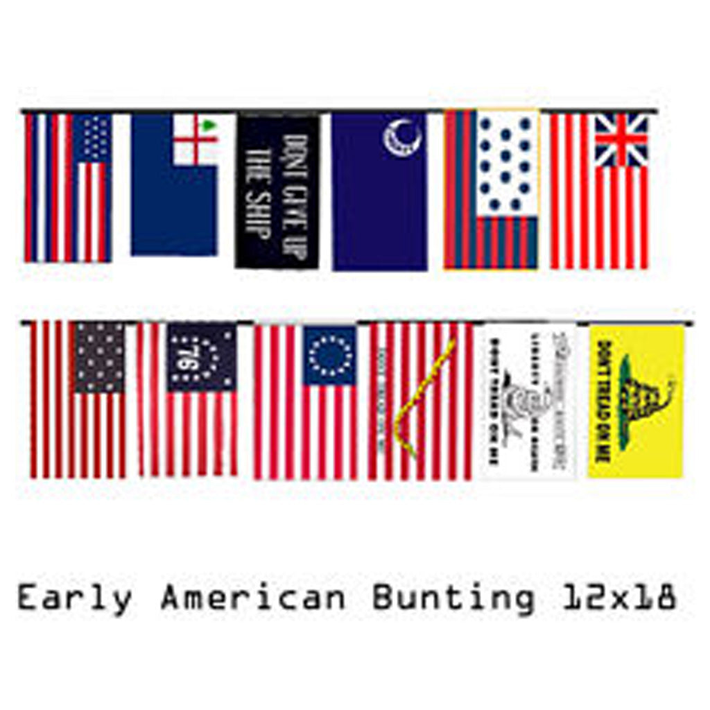 12"x18" Historical Flag Bunting