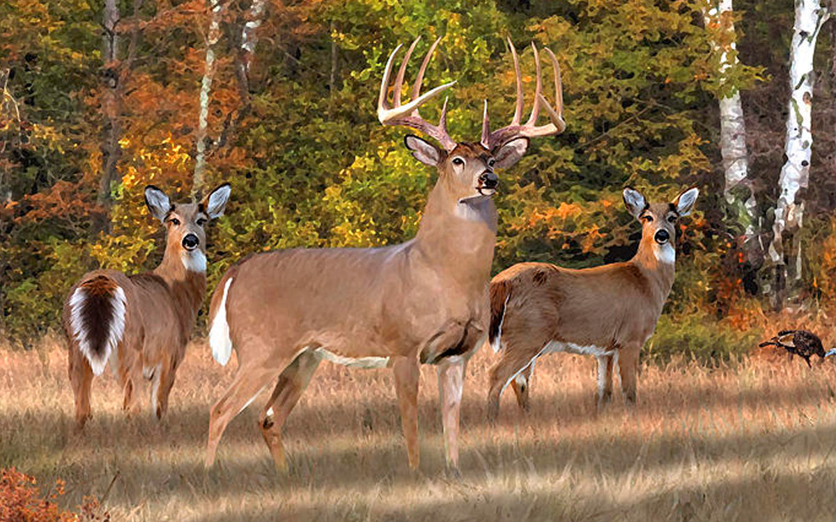 BuckUp Tactical Morale Patch Hook Antlers Deer Wildlife Hunter Hunt Patches  3x2