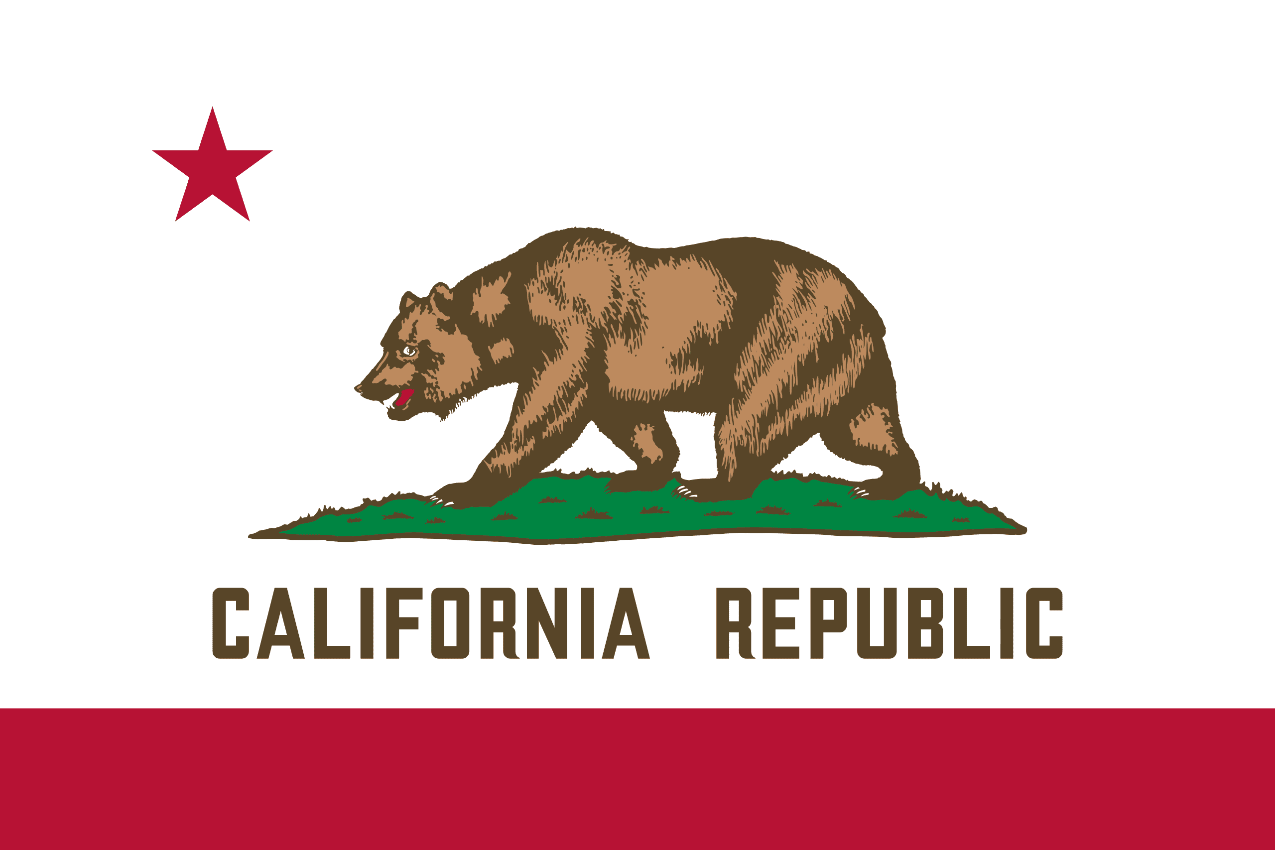 U.S. State Flag T-Shirts - Choose Your State