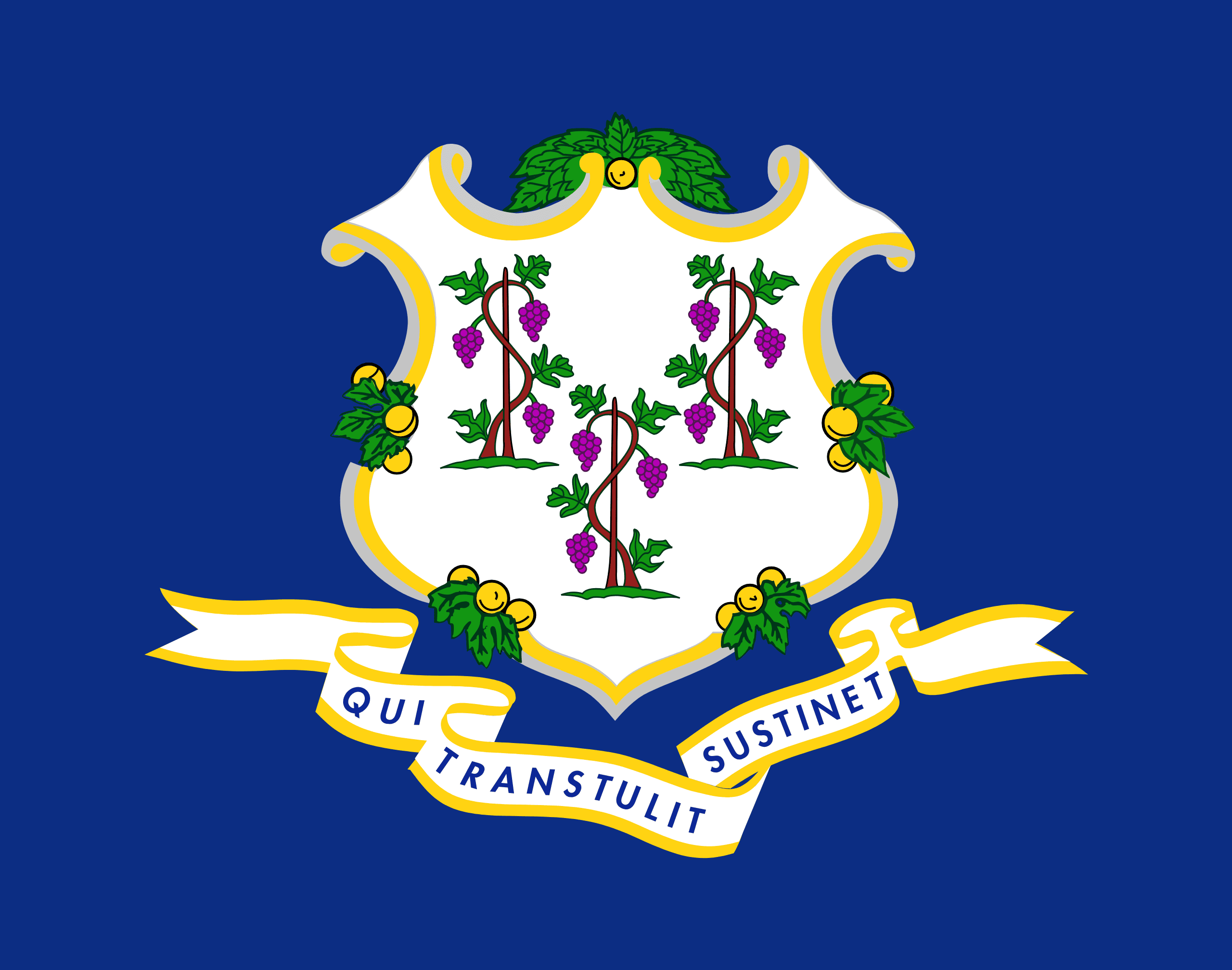 U.S. State Flag T-Shirts - Choose Your State