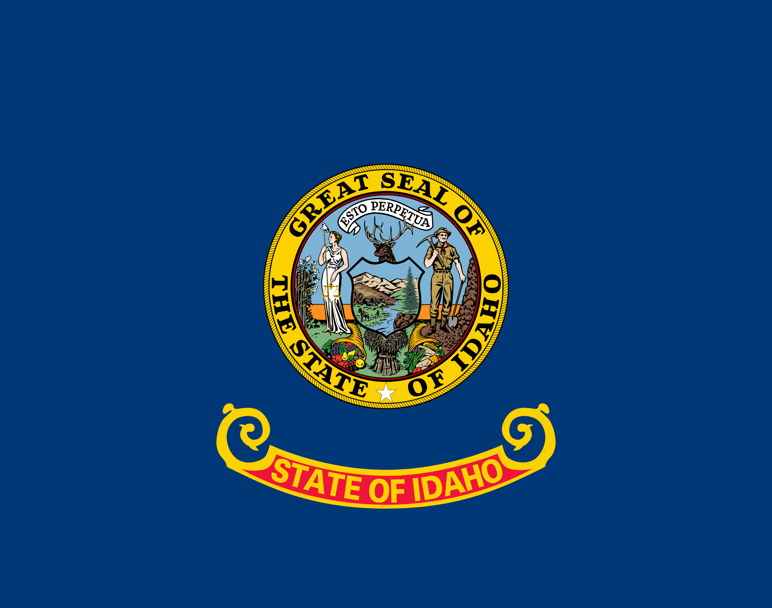 U.S. State Flag T-Shirts - Choose Your State