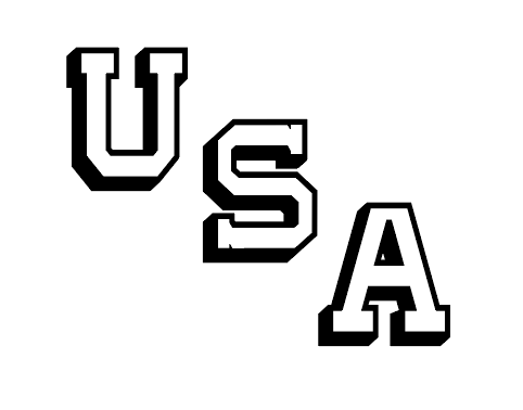 Subdued Team USA T-Shirt - View Options