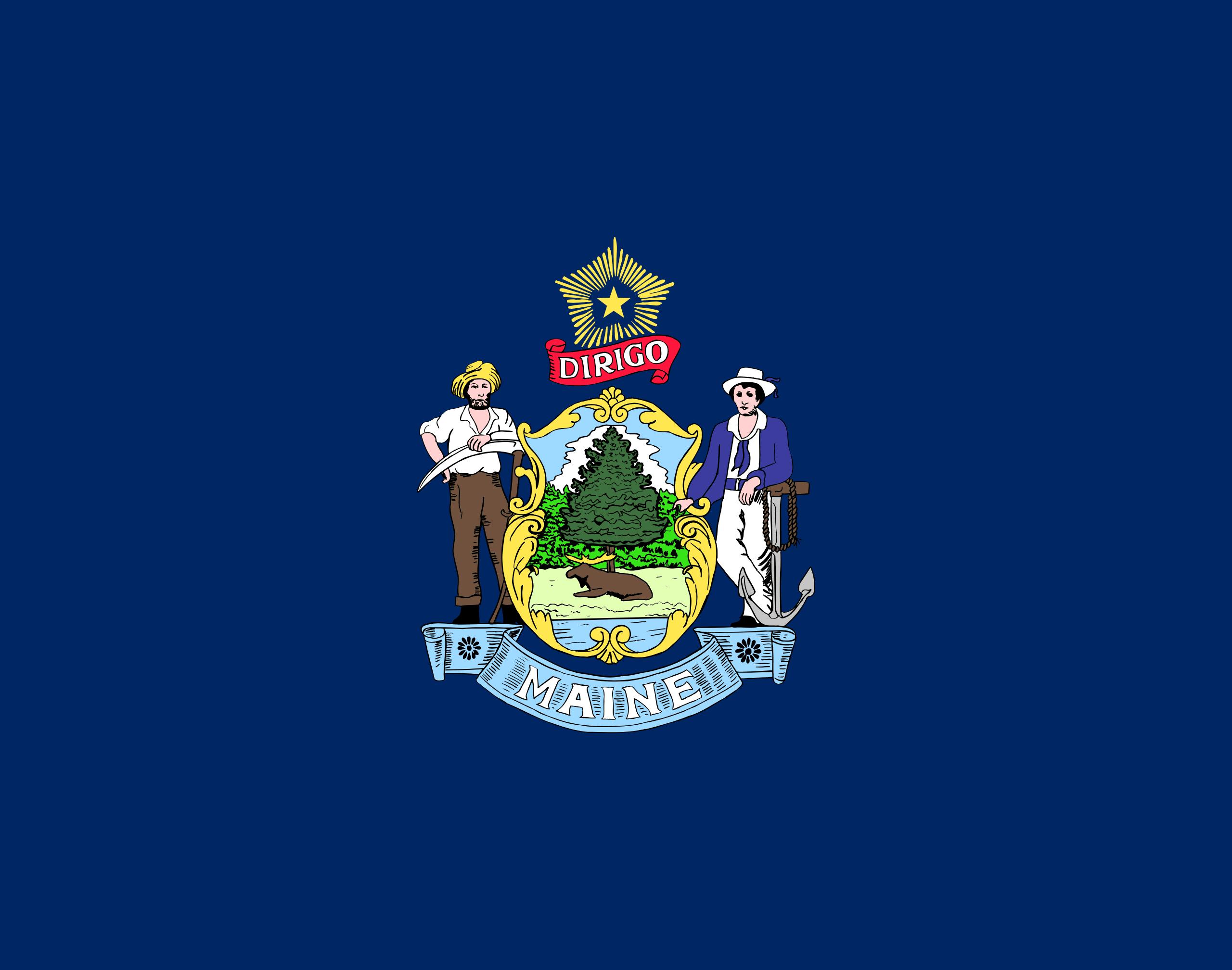 U.S. State Flag T-Shirts - Choose Your State
