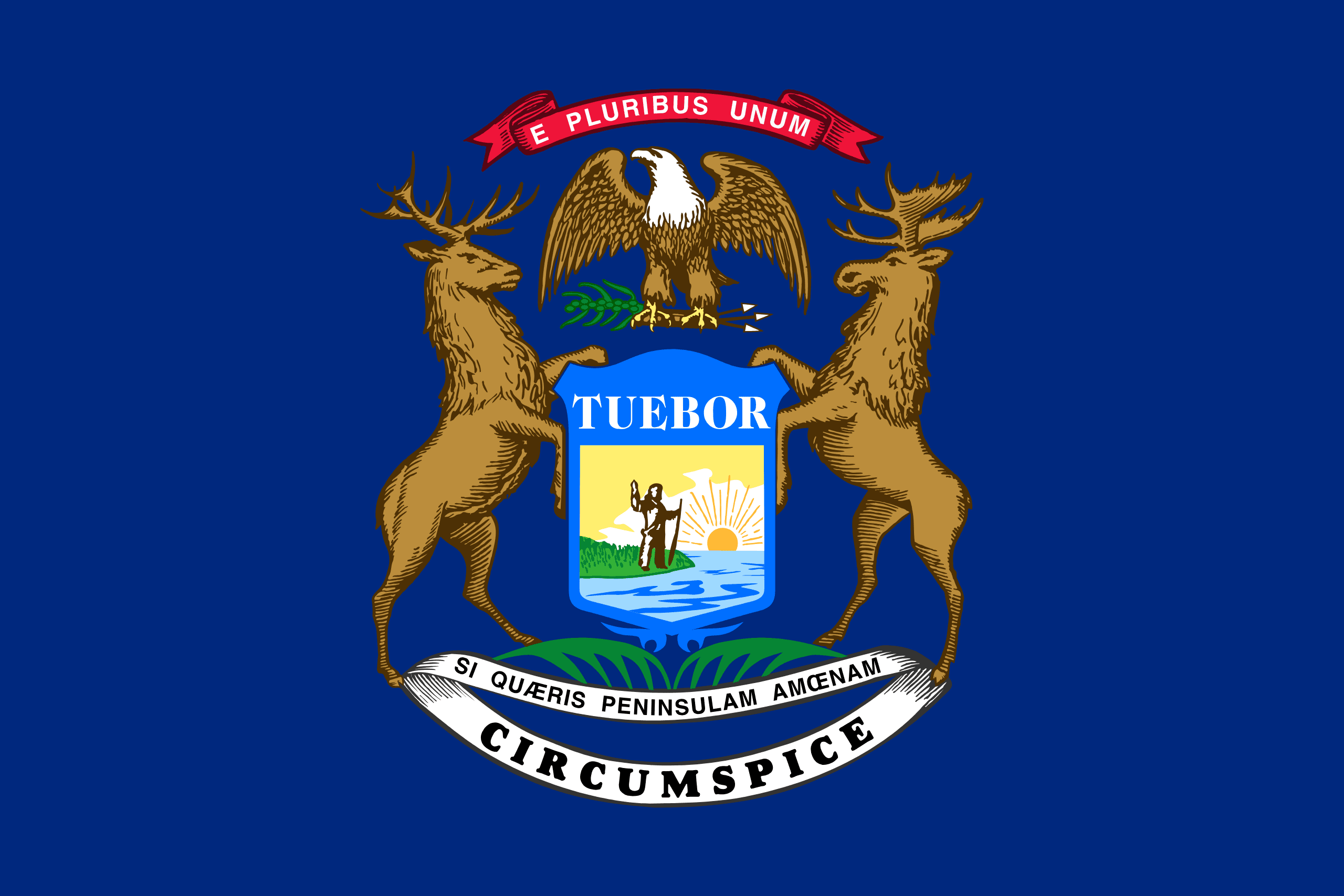 U.S. State Flag T-Shirts - Choose Your State
