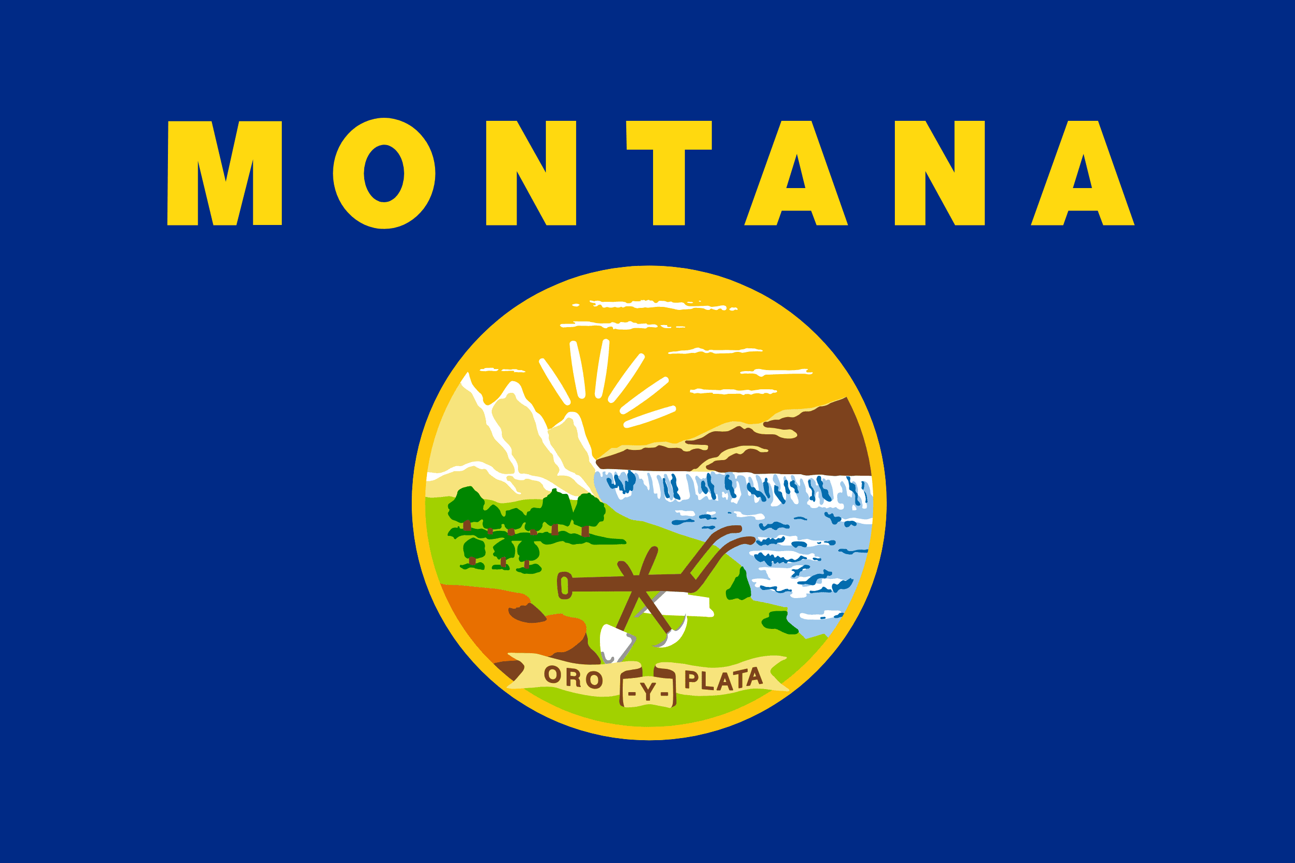 U.S. State Flag T-Shirts - Choose Your State