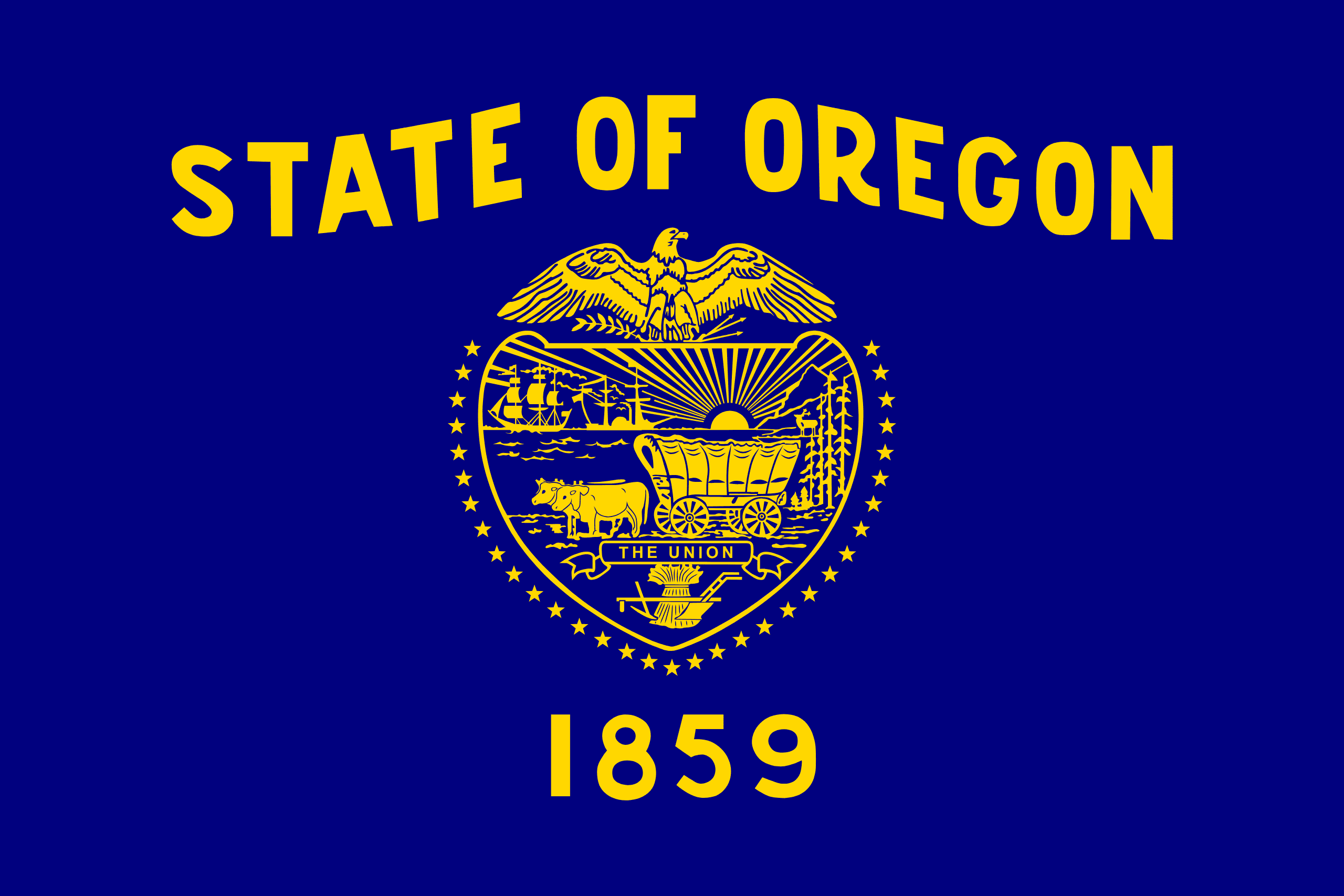 U.S. State Flag T-Shirts - Choose Your State