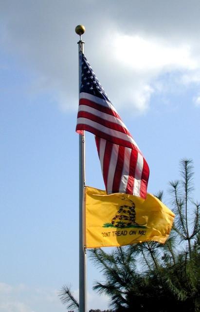 4x6Ft Embroidered USA & 3x5Ft Gadsden Flag Combo