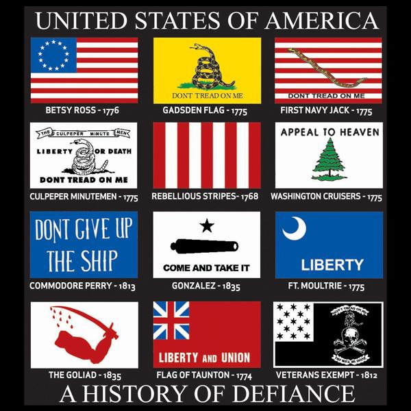 5" History of Defiance Flags Sticker