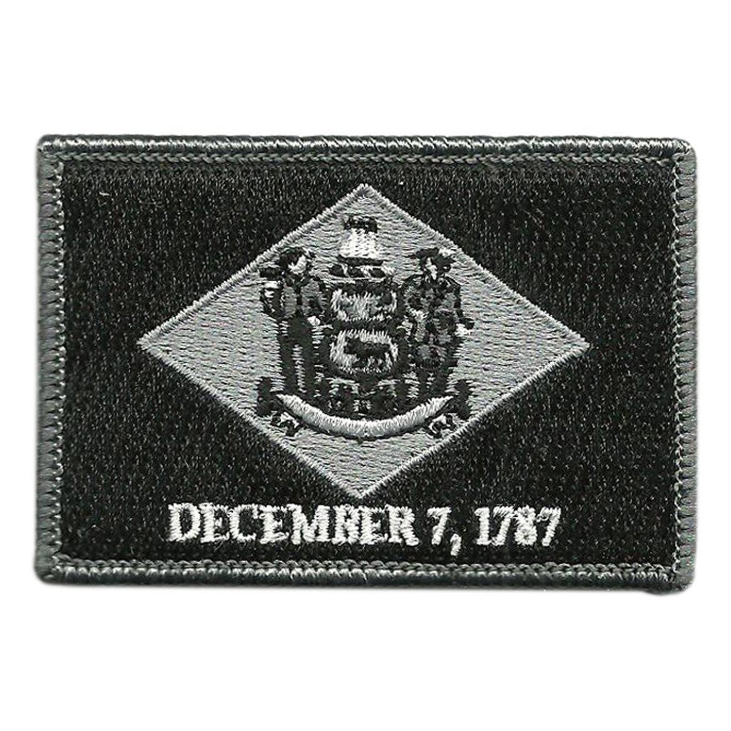 Delaware - Tactical State Patch