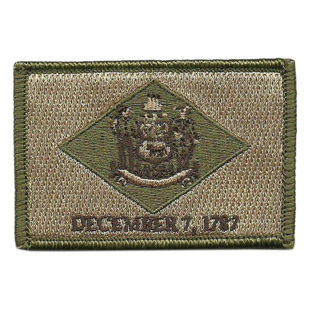 Delaware - Tactical State Patch